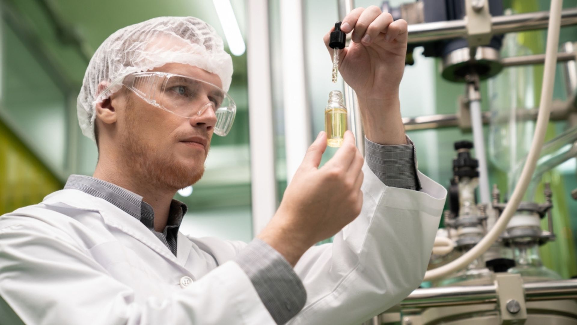 Cannabis scientist working